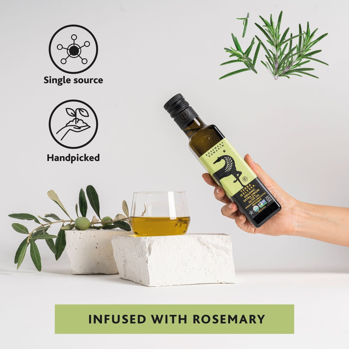 Rosemary Infused Extra Virgin Olive Oil